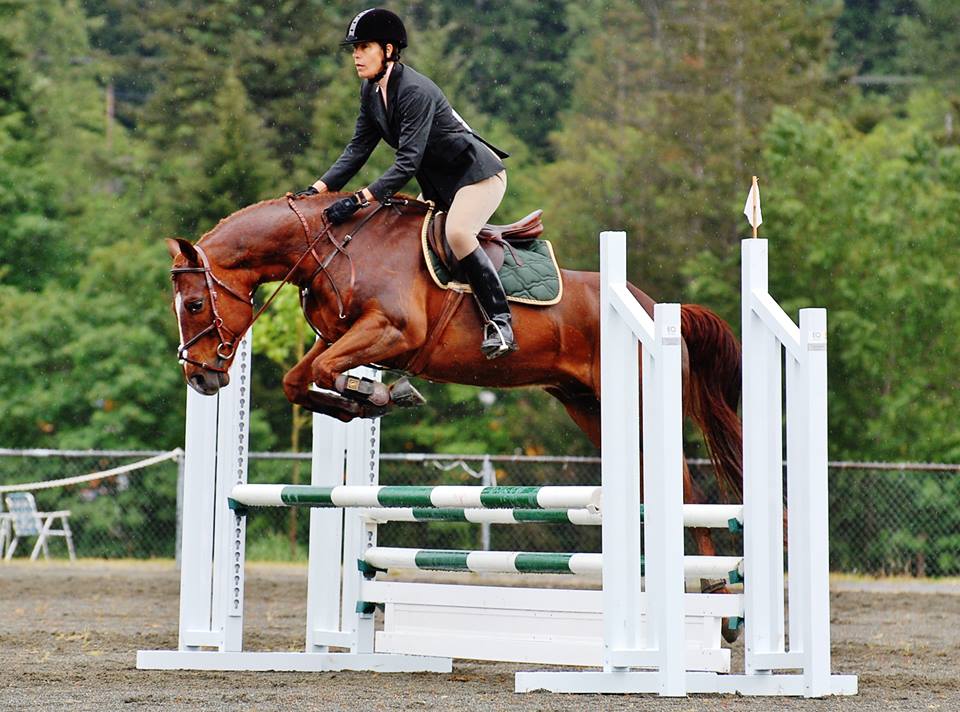 Western horses can jump too