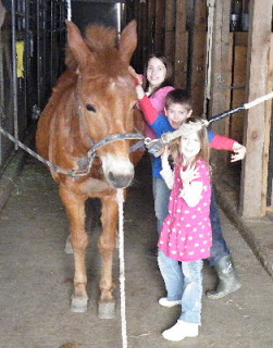 Bambi teaching kids awareness