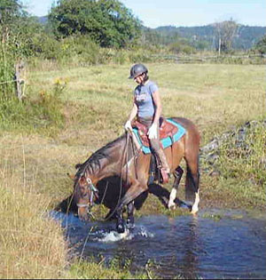 Anne and Diablo the dressage horse crossing water