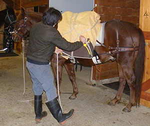 Murray learning to pack Boomer